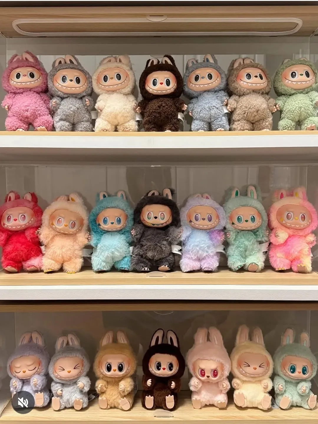 عرض Labubu Trendy toy