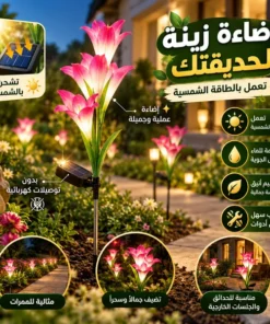 زهور زينة بالطاقة الشمسية تضيء